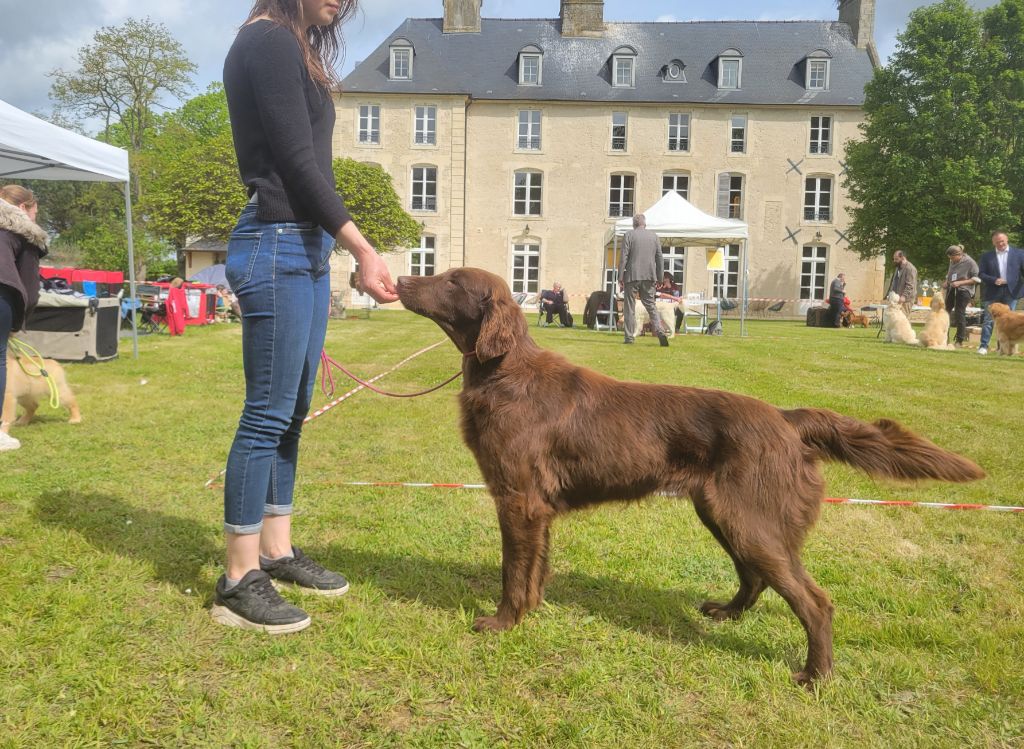 Summer Du Domaine De Phoebapooros