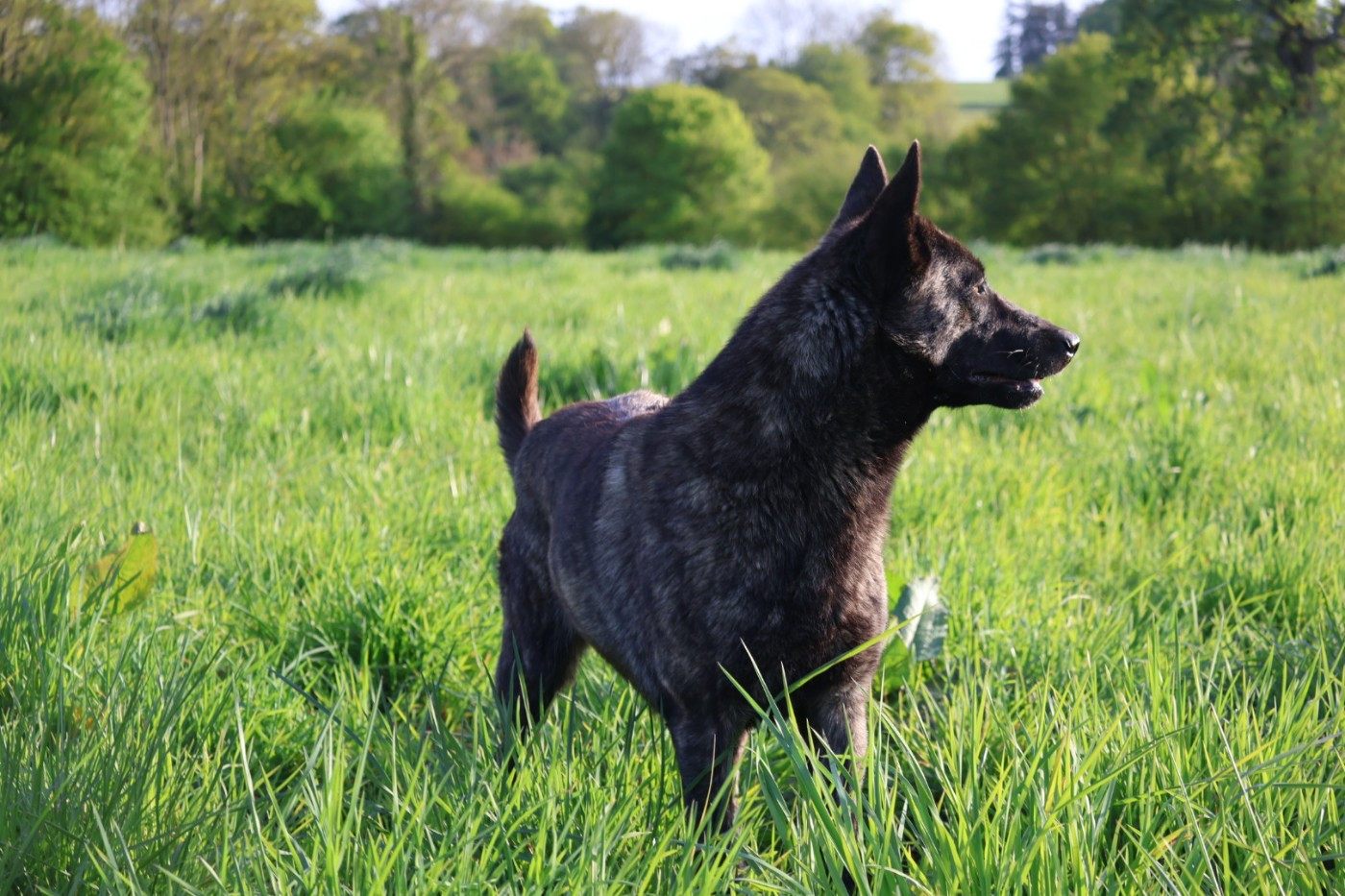 Des Gardiens De La Seine Venga