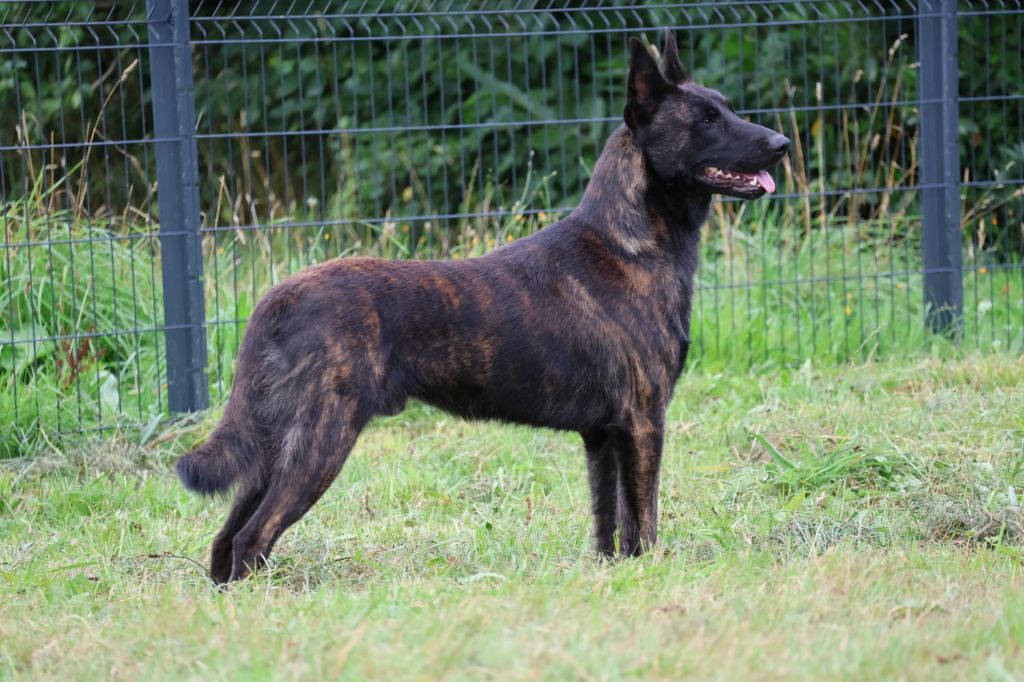 Uzaki Des Héritiers D'hojoshei