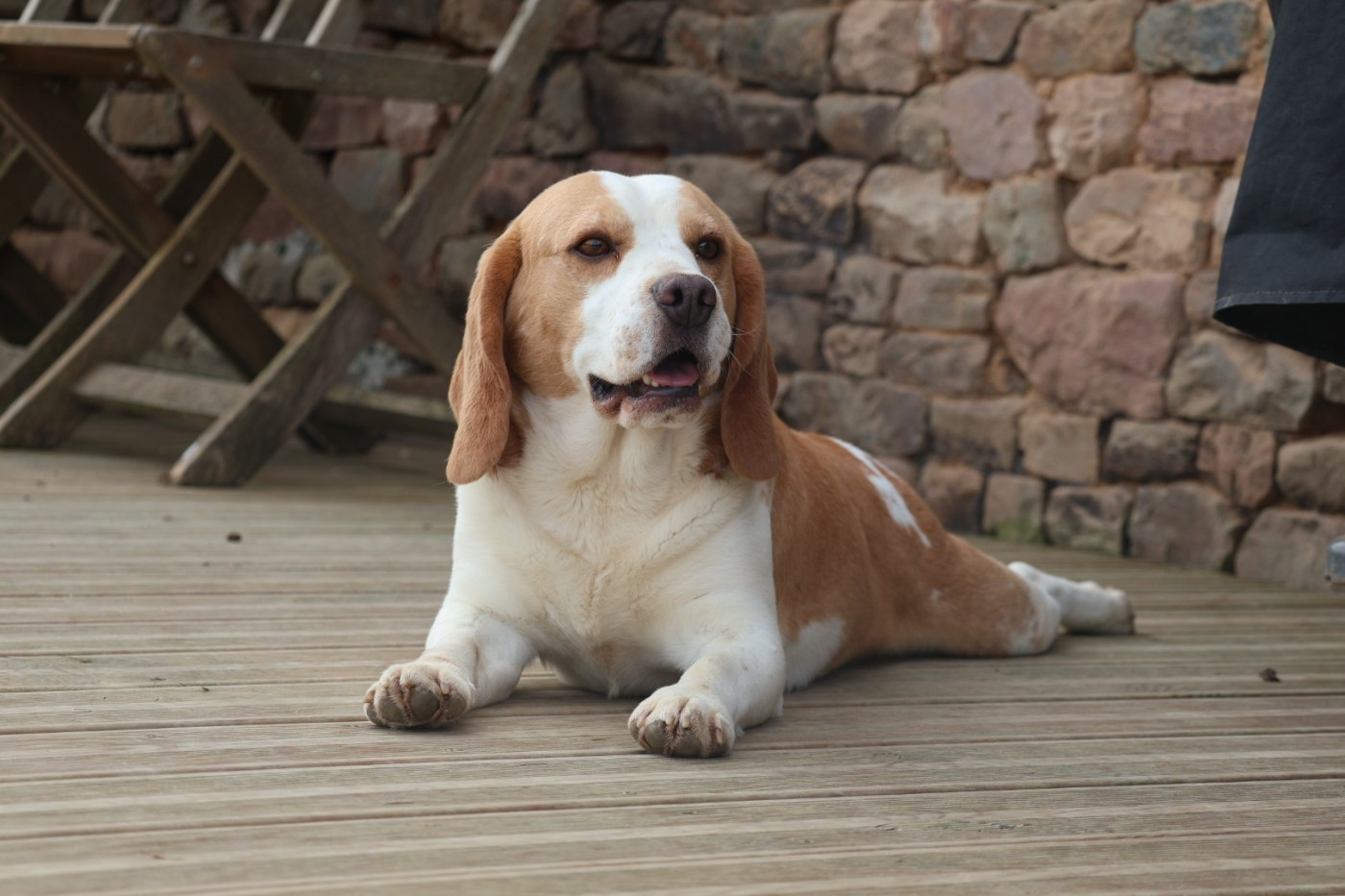 Uno Du Paradis d'Anais