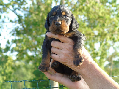 Monsieur bleu foncé 