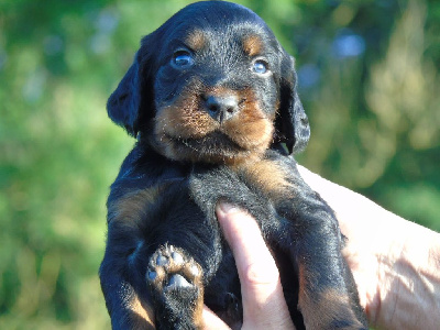 Monsieur noir 